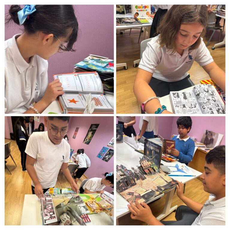 biblioteca 6º