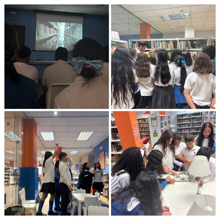 biblioteca6