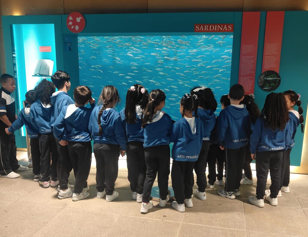 excursión á Coruña